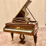 ポーランド　～　私の母国