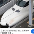 東北新幹線が緊急停止　走行中に“異音”…原因はイノシシ衝突　約１９００人に影響