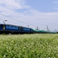 7月5日撮影　EH200-901号機　クマイチが牽く西線貨物8084ﾚより