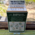 梅雨入り