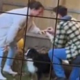 プロポーズの瞬間をカメラで撮っていた。男が片膝をついて指輪を彼女の薬指にはめる → ちょっ！…