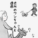 『犬が向かってきた話』の画像