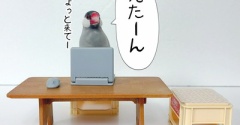 注文を任されたジルたん