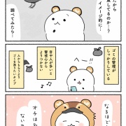 ディ〇ニーにカラスがいない理由？