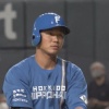 【悲報】日ハム王柏融　打率.040