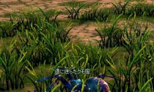 ┌(┌ ＾＾O＾＾)┐ｸﾓｫ…糸を吐き出す