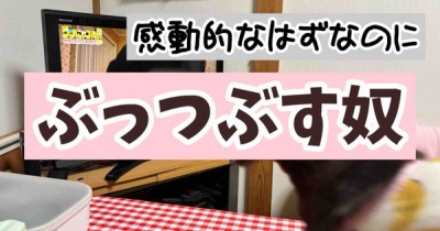 なんでわからんのかなぁ。