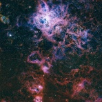 Toshy-jiGの星空散策