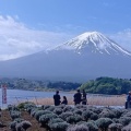 暑い季節には、冷たい吉田のうどん
