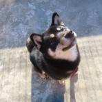 churahamaのブログ