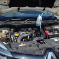 Renault ץ㡼ָ