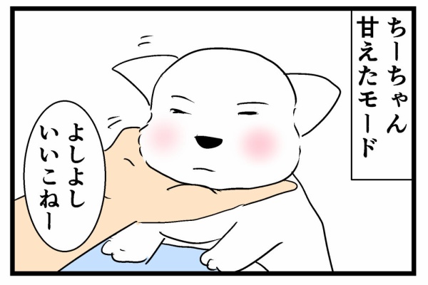 1990年のウエスティランド 旅行日記 ちーちゃんっ🐾 - ウエストハイランドホワイトテリア