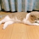 添い寝開始‼