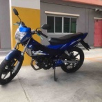 ★abelabo★セロー系ワイドステップ、トリッカーメーターガード製作★