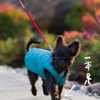 目が覚めた時から寂しい