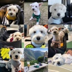 MOCAと　おさんぽ