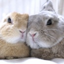 気分じゃない時もある