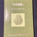 化石図鑑　日本の中生代白亜紀二枚貝