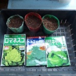 毎日が日曜　晴耕雨読な日々