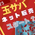 大変お待たせいたしました🙇　🌟ネット販売スタートです🌟