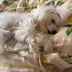 れい＆らな＆りん・・・＆れな♪