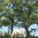 子どもに見せられる未来のために