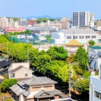 花の旅