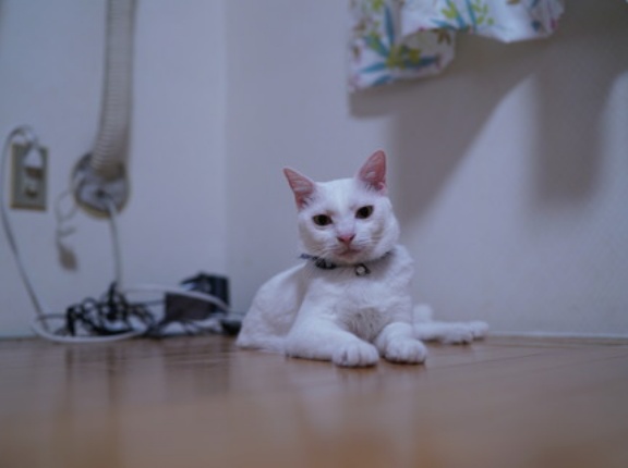 ほぼ公開してない時期の話　20260313