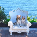 メロディ＆ミニーの写真館