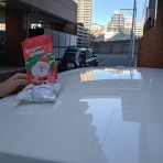 東京おとなガレージ