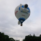 �عҶ������ASIMO�Х롼��˾�ä���❗�٤β���