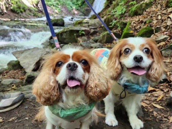 夏休み通信、軽井沢編😆💕💕🐶