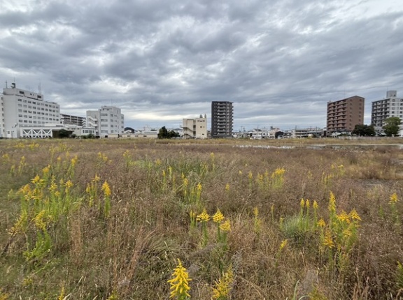 イシバシプラザ跡地。ここに建物とか、お店ができた日のコトを勝手に想像してみた。おととい令和7年11/1(土)の様子