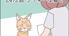 あんこ＆麦2472 ラッキーな猫２