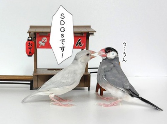 クリスマスは、おでん。