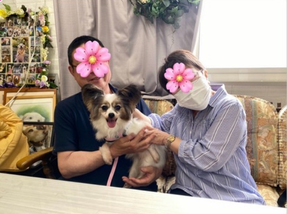 イネスちゃんのトライアルが始まります🌸