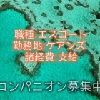 『ケアンズエスコート求人情報』の画像