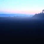 みちくさんぽ♬（人生道草散歩）