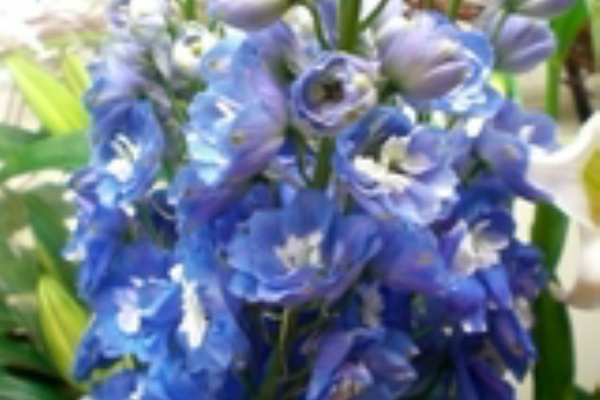 花屋のひとり言 花束