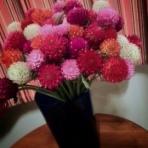 Nariko's Blog - 高杉奈梨子