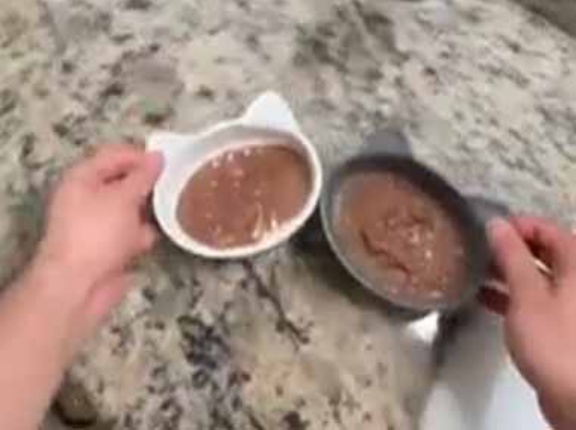 【なぜ？】 うちの猫たちはこうしないとゴハンを食べません…