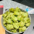 万博体験記16…6 関西パビリオン…京都府、徳島県、兵庫県
