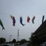 『初泳ぎっ！！』の画像