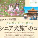 メロディ＆ミニーの写真館