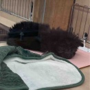 今週の新入りさん♡