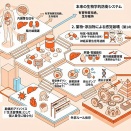 「食事改善では覆せない薬物依存構造 ― 抗ヒスタミン薬・コレステロール薬が奪う再生機能」