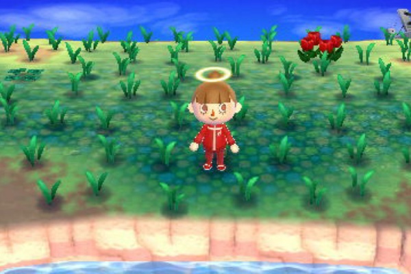 どうぶつの森スマホアプリ 放置したら雑草生えたりゴキブリ出たりするシステムさえ無ければ神ゲーだったと思う その理由 どうぶつの森 ポケットキャンプ攻略ガイドブック ポケ森まとめ