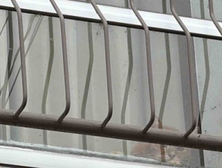 野良猫の故郷の街　20251202