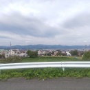 トリミングサロンはペットにとっては？
