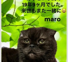 MARO様19歳、天国支部へ🌈🌈🌈